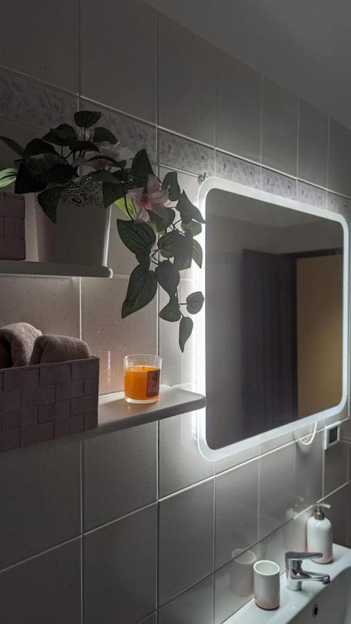 La Terrazza Del Re Apartment Верчели Екстериор снимка